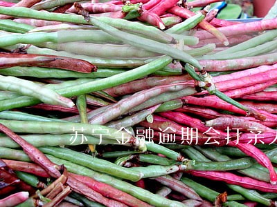 苏宁金融逾期会打亲人朋友电话吗 苏宁金融逾期会打亲人朋友电话吗