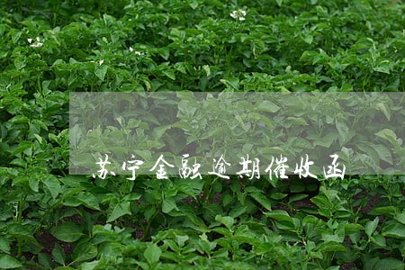 苏宁金融逾期催收函 苏宁金融逾期催收函