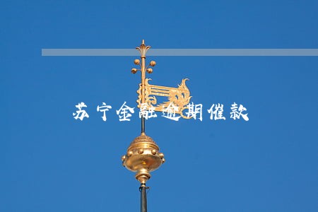 苏宁金融逾期催款 苏宁金融逾期催款