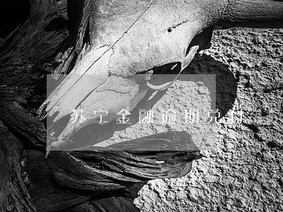 苏宁金融逾期兑付 苏宁金融逾期兑付