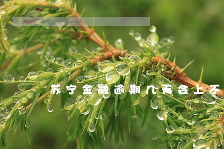 苏宁金融逾期几天会上不良记录 苏宁金融逾期几天会上不良记录