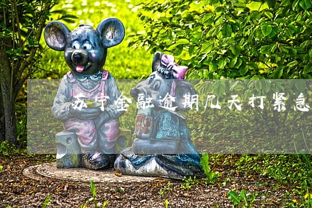 苏宁金融逾期几天打紧急联系人 苏宁金融逾期几天打紧急联系人
