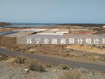 苏宁金融逾期分期还款 苏宁金融逾期分期还款