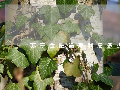 苏宁金融逾期利息多少 苏宁金融逾期利息多少