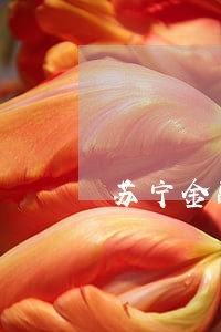 苏宁金融逾期十天会上征信吗 苏宁金融逾期十天会上征信吗