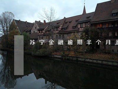 苏宁金融逾期半个月上征信么 苏宁金融逾期半个月上征信么