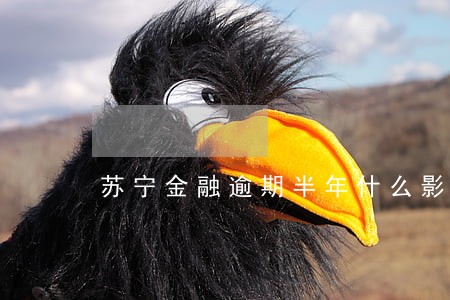 苏宁金融逾期半年什么影响 苏宁金融逾期半年什么影响