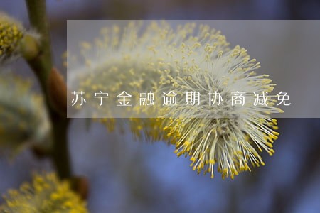 苏宁金融逾期协商减免 苏宁金融逾期协商减免