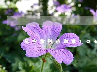 苏宁金融逾期发1068的短信