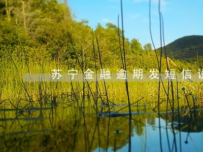 苏宁金融逾期发短信说失信黑名单 苏宁金融逾期发短信说失信黑名单