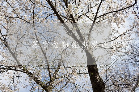 苏宁金融逾期发通讯录 苏宁金融逾期发通讯录