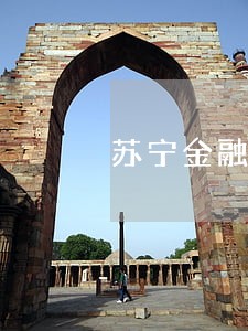 苏宁金融逾期可以协商分期吗 苏宁金融逾期可以协商分期吗