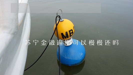 苏宁金融逾期可以慢慢还吗 苏宁金融逾期可以慢慢还吗