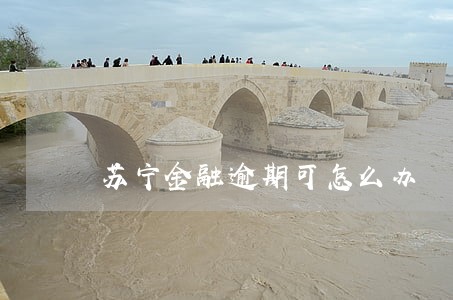 苏宁金融逾期可怎么办 苏宁金融逾期可怎么办