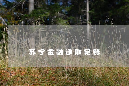 苏宁金融逾期呆账 苏宁金融逾期呆账