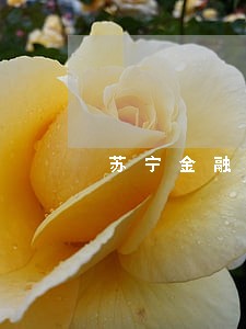 苏宁金融逾期四天 苏宁金融逾期四天