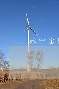 苏宁金融逾期多久会爆通讯录 苏宁金融逾期多久会爆通讯录