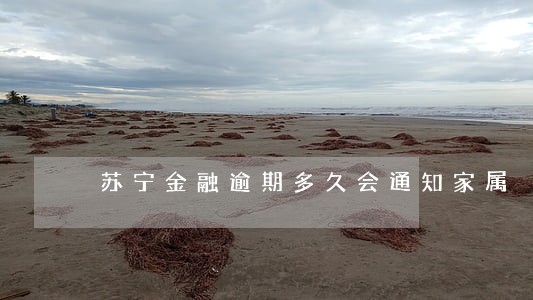 苏宁金融逾期多久会通知家属 苏宁金融逾期多久会通知家属