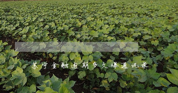 苏宁金融逾期多久爆通讯录 苏宁金融逾期多久爆通讯录