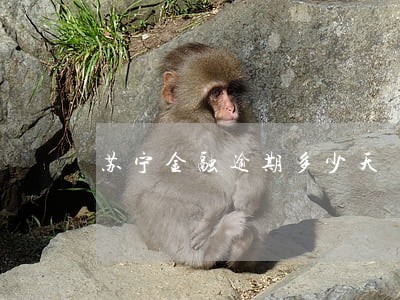 苏宁金融逾期多少天 苏宁金融逾期多少天