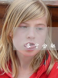 苏宁金融逾期已成为呆账 苏宁金融逾期已成为呆账