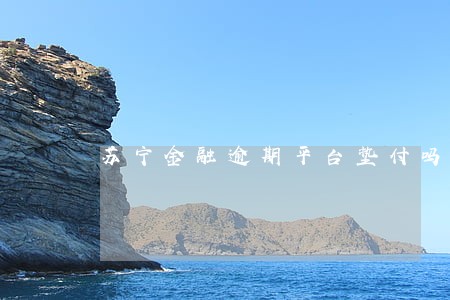 苏宁金融逾期平台垫付吗 苏宁金融逾期平台垫付吗