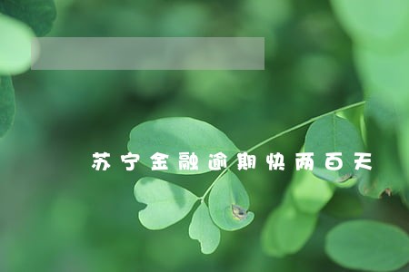 苏宁金融逾期快两百天 苏宁金融逾期快两百天