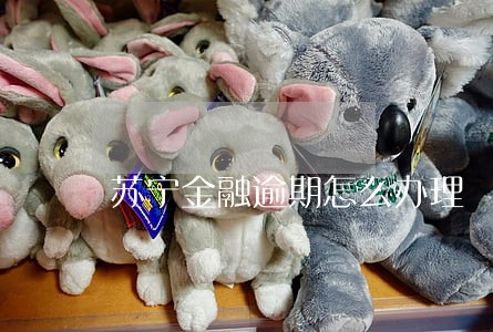 苏宁金融逾期怎么办理 苏宁金融逾期怎么办理