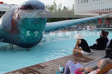 苏宁金融逾期怎么扣钱 苏宁金融逾期怎么扣钱