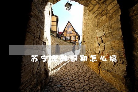 苏宁金融逾期怎么搞 苏宁金融逾期怎么搞