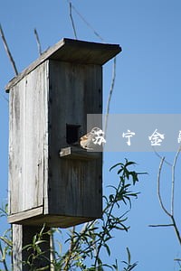 苏宁金融逾期怎么收取费用 苏宁金融逾期怎么收取费用