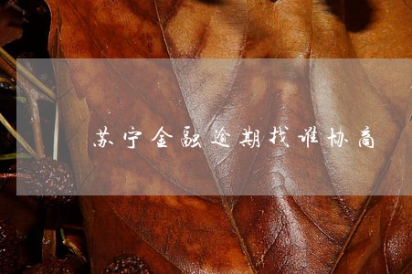 苏宁金融逾期找谁协商 苏宁金融逾期找谁协商