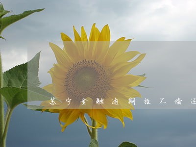 苏宁金融逾期拒不偿还的后果 苏宁金融逾期拒不偿还的后果