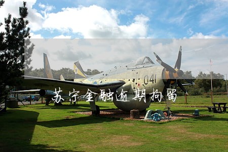 苏宁金融逾期拘留