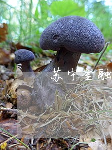 苏宁金融逾期收到挂号信 苏宁金融逾期收到挂号信