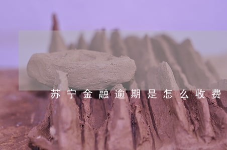 苏宁金融逾期是怎么收费的 苏宁金融逾期是怎么收费的