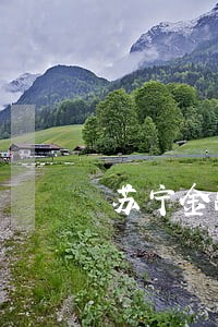 苏宁金融逾期爆通讯录 苏宁金融逾期爆通讯录