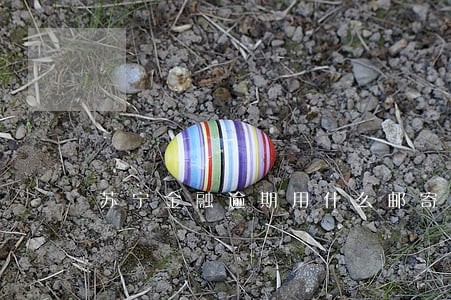 苏宁金融逾期用什么邮寄 苏宁金融逾期用什么邮寄