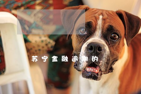 苏宁金融逾期的 苏宁金融逾期的