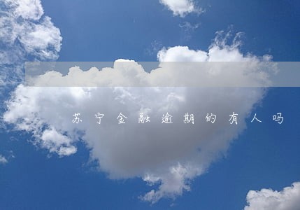 苏宁金融逾期的有人吗