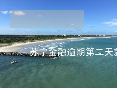 苏宁金融逾期第二天就被冻结了 苏宁金融逾期第二天就被冻结了