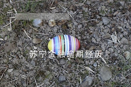 苏宁金融逾期经历 苏宁金融逾期经历