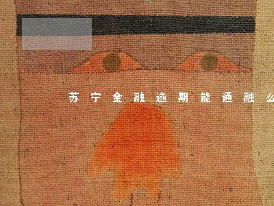 苏宁金融逾期能通融么 苏宁金融逾期能通融么