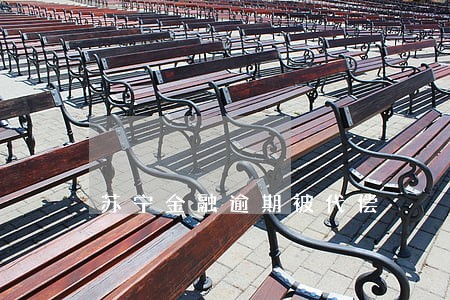 苏宁金融逾期被代偿 苏宁金融逾期被代偿