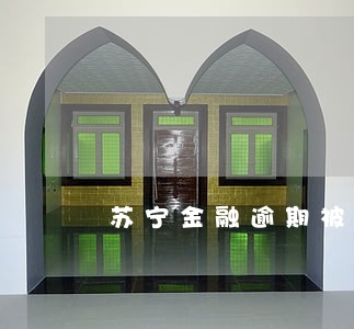 苏宁金融逾期被告