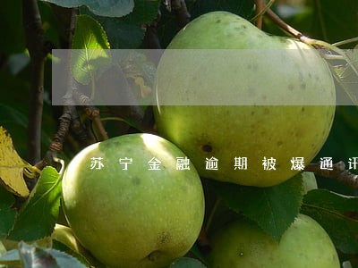 苏宁金融逾期被爆通讯录