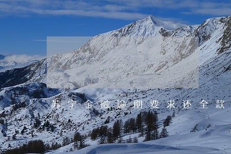 苏宁金融逾期要求还全款 苏宁金融逾期要求还全款