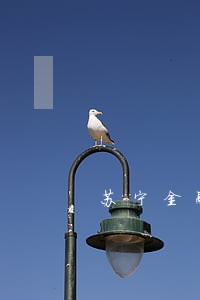 苏宁金融逾期记录消除 苏宁金融逾期记录消除