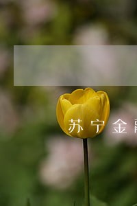 苏宁金融逾期说交给法务 苏宁金融逾期说交给法务