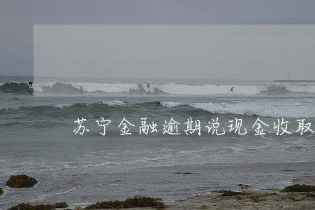 苏宁金融逾期说现金收取 苏宁金融逾期说现金收取